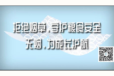 女人的叉叉视频网站免费看看拒绝烟草，守护粮食安全